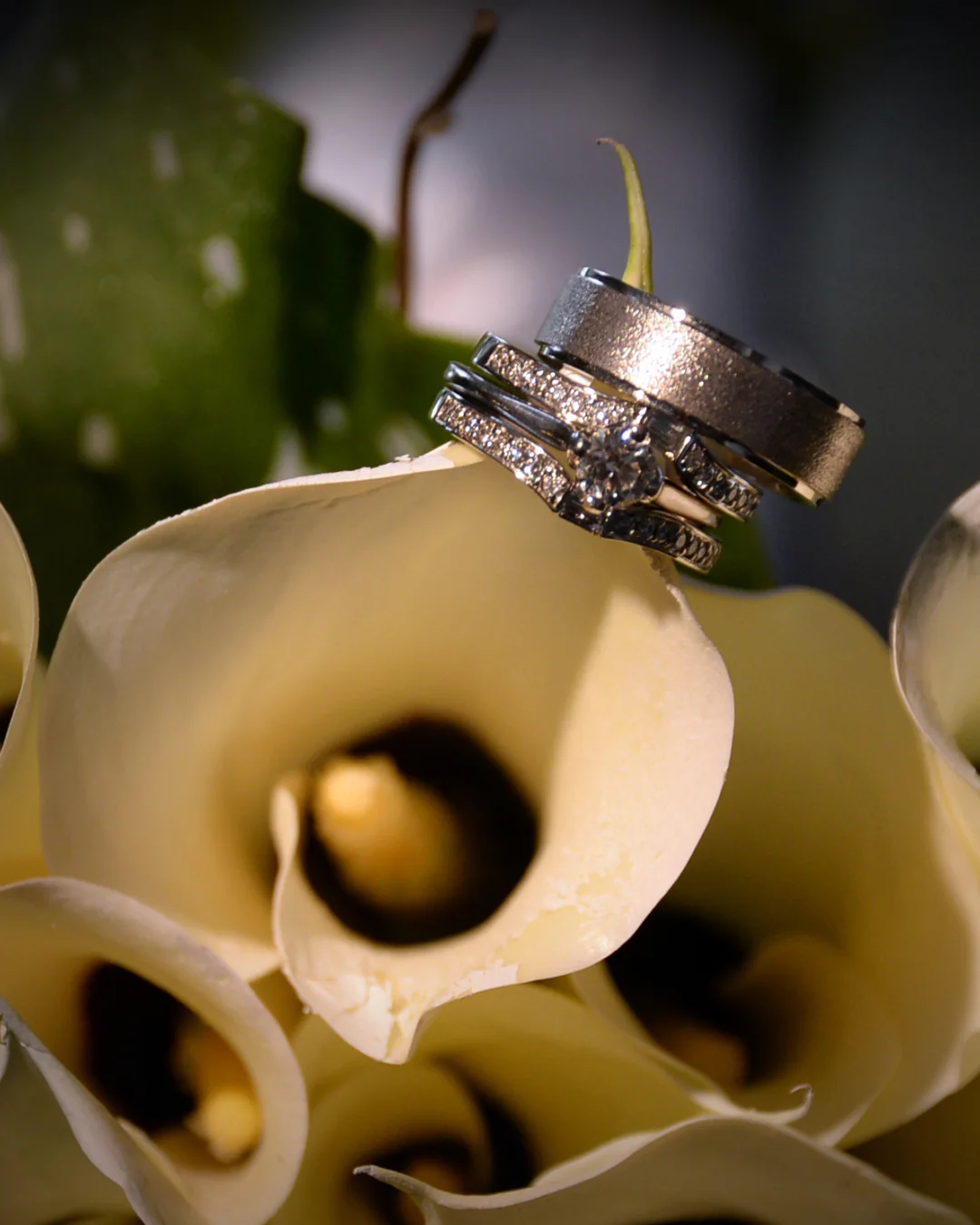 Fotografía formal de boda en Chihuahua por Aries Dozal